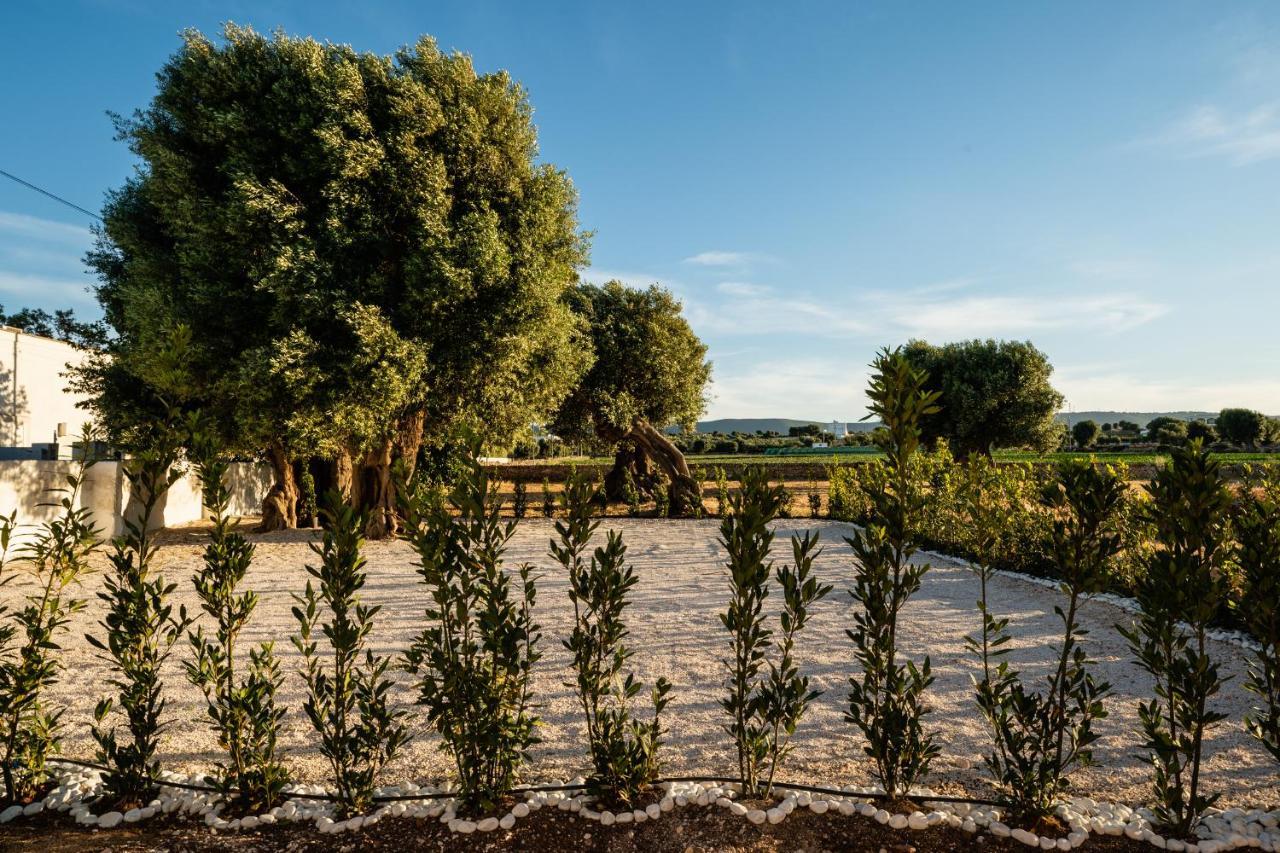 Il Pergolato Sul Mare Villa Monopoli Kültér fotó